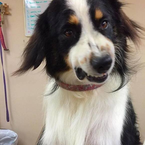 Meet your Posher, Jane - Picture 1 of 1